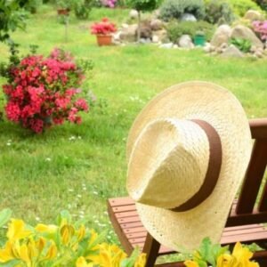 1 ensemble housse de chaise élastique en velours, épais, Internet