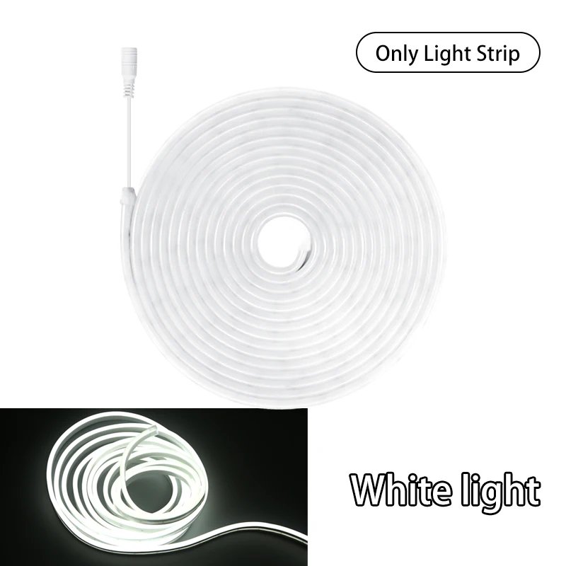 Only light strip 01