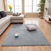 Tapis de salon moderne en Molleton de Corail Gris