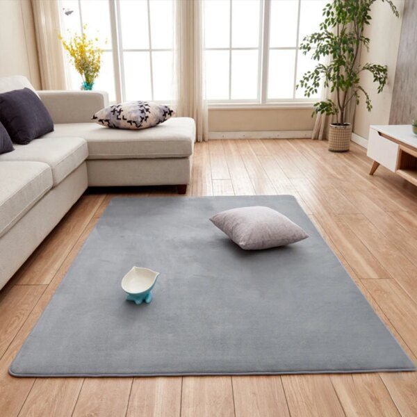 Tapis de salon moderne en Molleton de Corail Gris