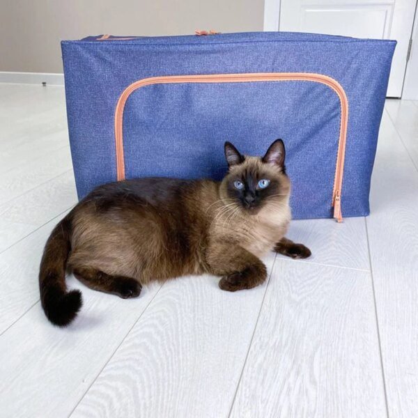 Boîte de Rangement Pliable pour Vêtement, Armoire de Classement pour Jouets