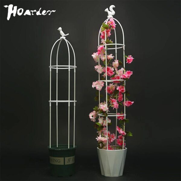 support de plante  grimpantes, cage de Support pour fleurs et tomates de jardin