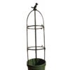 support de plante  grimpantes, cage de Support pour fleurs et tomates de jardin