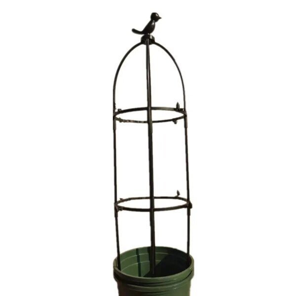 support de plante  grimpantes, cage de Support pour fleurs et tomates de jardin