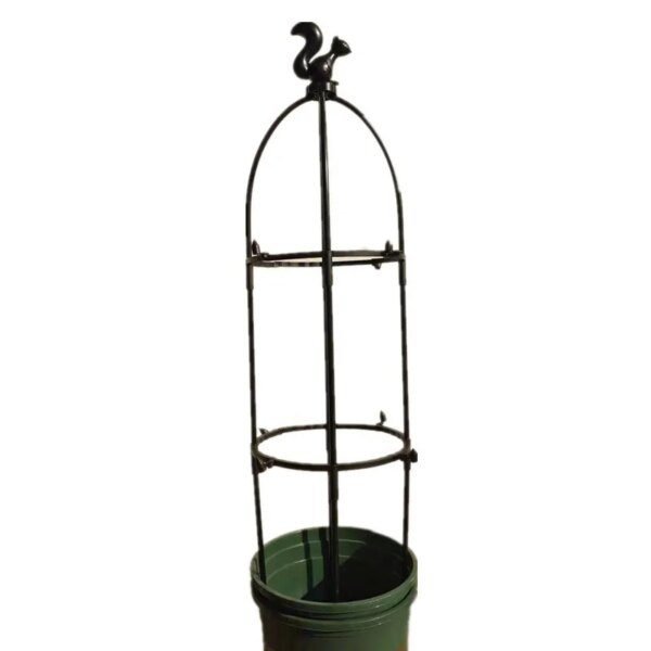 support de plante  grimpantes, cage de Support pour fleurs et tomates de jardin