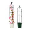 support de plante  grimpantes, cage de Support pour fleurs et tomates de jardin