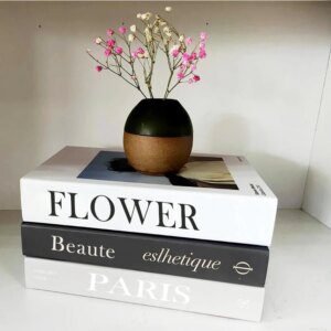 Faux Livre deco à la Mode pour la Décoration de la Maison