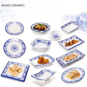 54515-5c81a5.jpg Assiette à dîner en plastique bleue et blanche