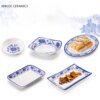 Assiette à dîner en plastique bleue et blanche