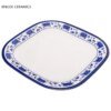 Assiette à dîner en plastique bleue et blanche
