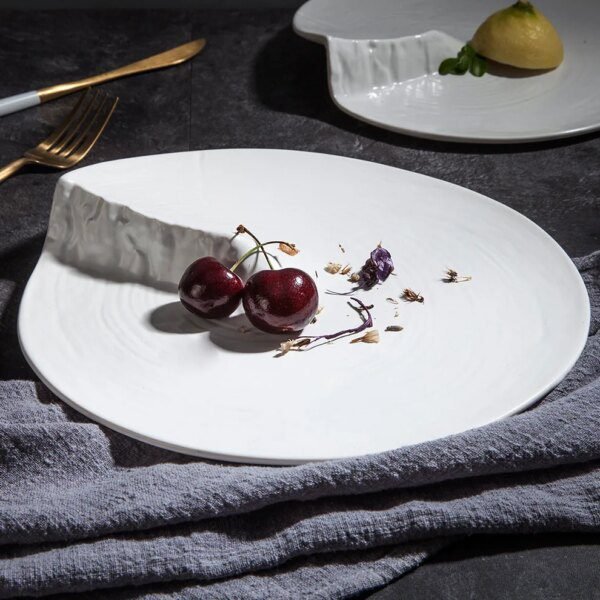 54720-136542.jpg assiette japonaise en céramique