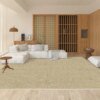 Tapis Japonais Moderne – Couleur Unie, Doux