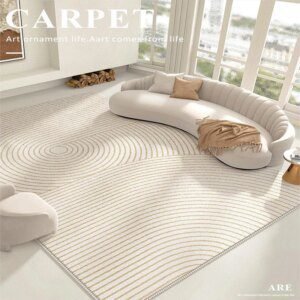 Tapis Peluche Minimaliste Style INS – Douceur