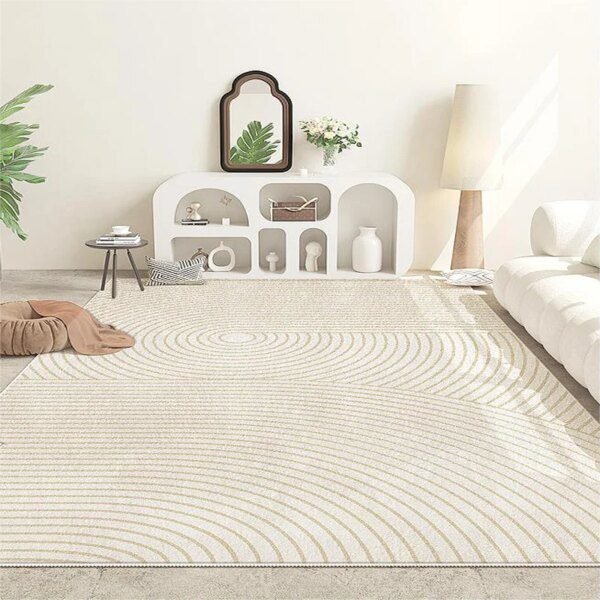 Tapis Peluche Minimaliste Style INS – Douceur