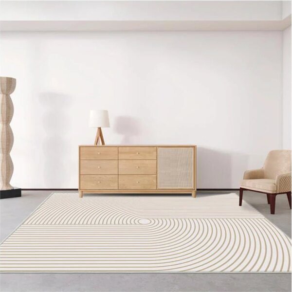 Tapis Peluche Minimaliste Style INS – Douceur