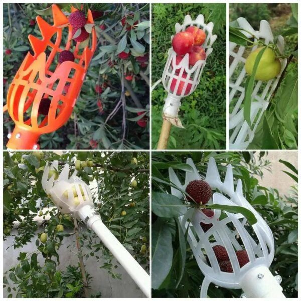 cueilleur de fruits, outils de jardin