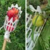 cueilleur de fruits, outils de jardin