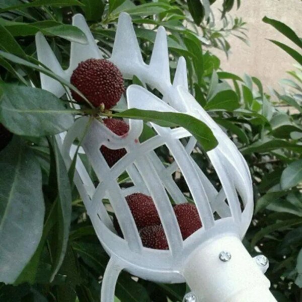 cueilleur de fruits, outils de jardin