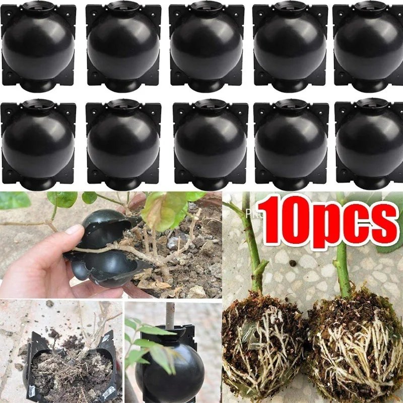 Boîte culture accessoire de — Boîte de culture réutilisable de racines de plantes, 10 pièces | home20.fr