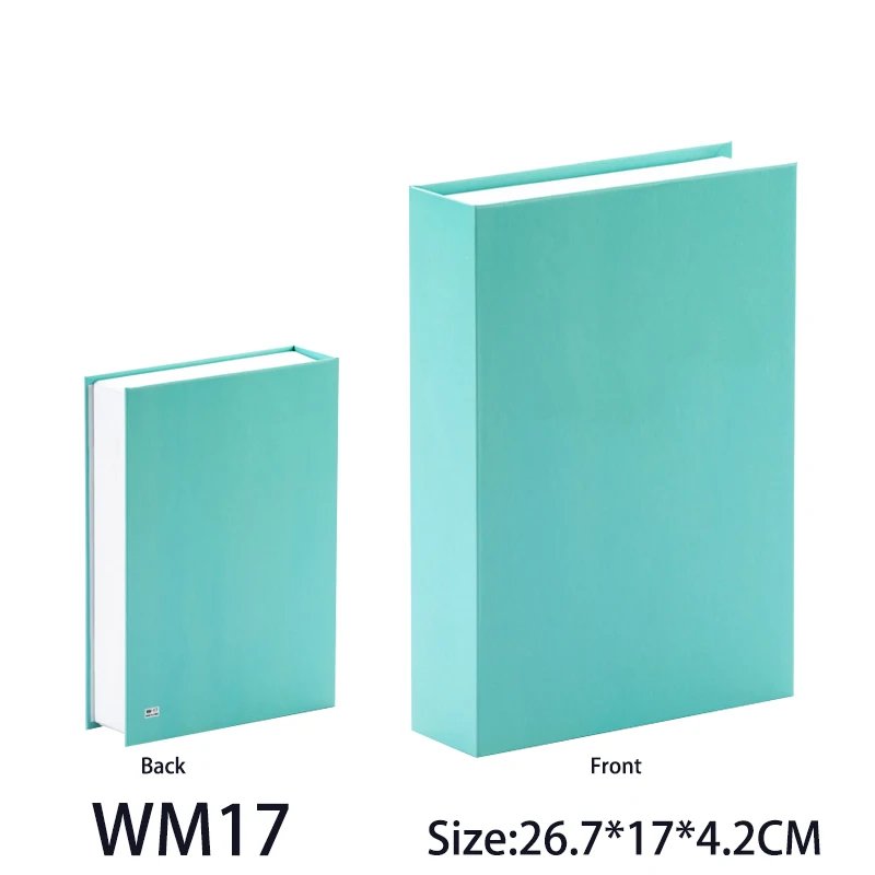 WM17