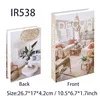 IR538