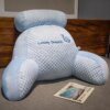 80907-da0a9f.jpg Coussin De Lecture Oreiller de lecture de canapé lavable parfait, décoration d'intérieur